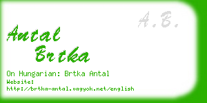 antal brtka business card